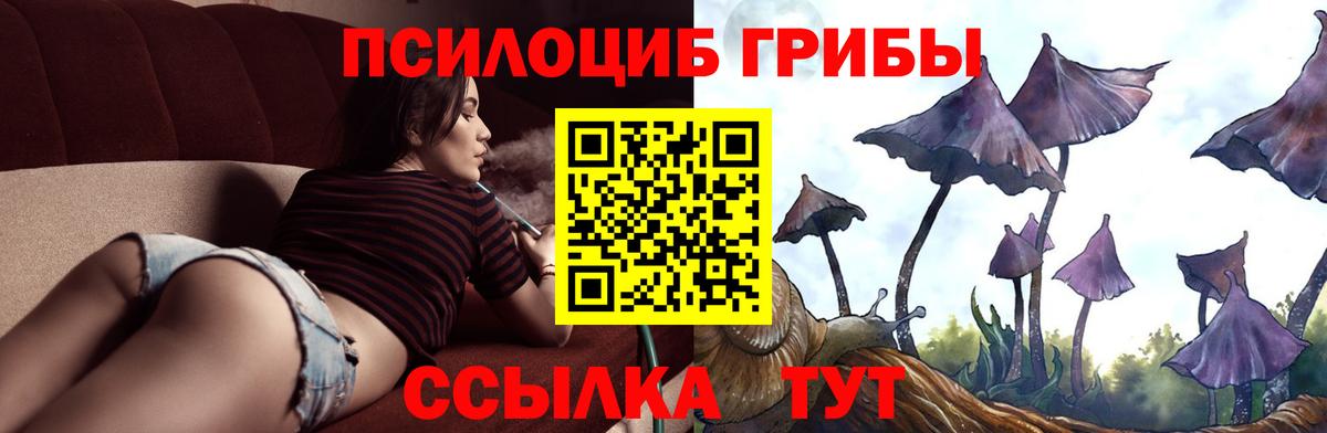 Мценск  Галлюциногенные грибы Magic Shrooms  Вход с VPN 